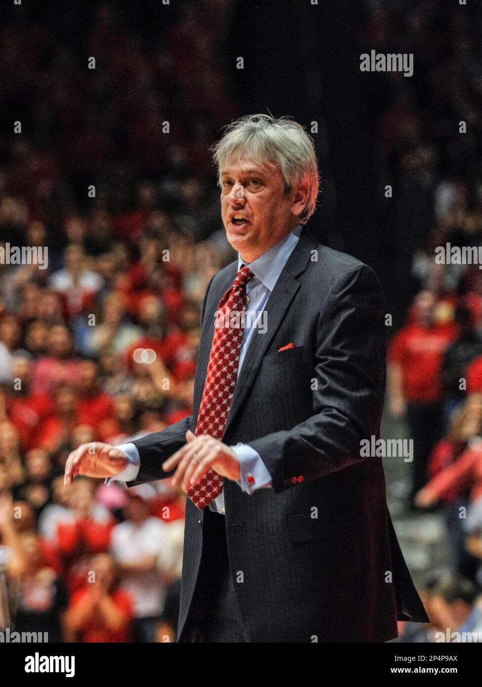 Feb 5, 2014: New Mexico Lobo's head coach Craig Nell in action during the NCAA basketball game between Wyoming Cowboys and University New Mexico Lobos at The Pit in Albuquerque, New Mexico. Credit Image (Cal Sport Media via AP Images) Stockfoto