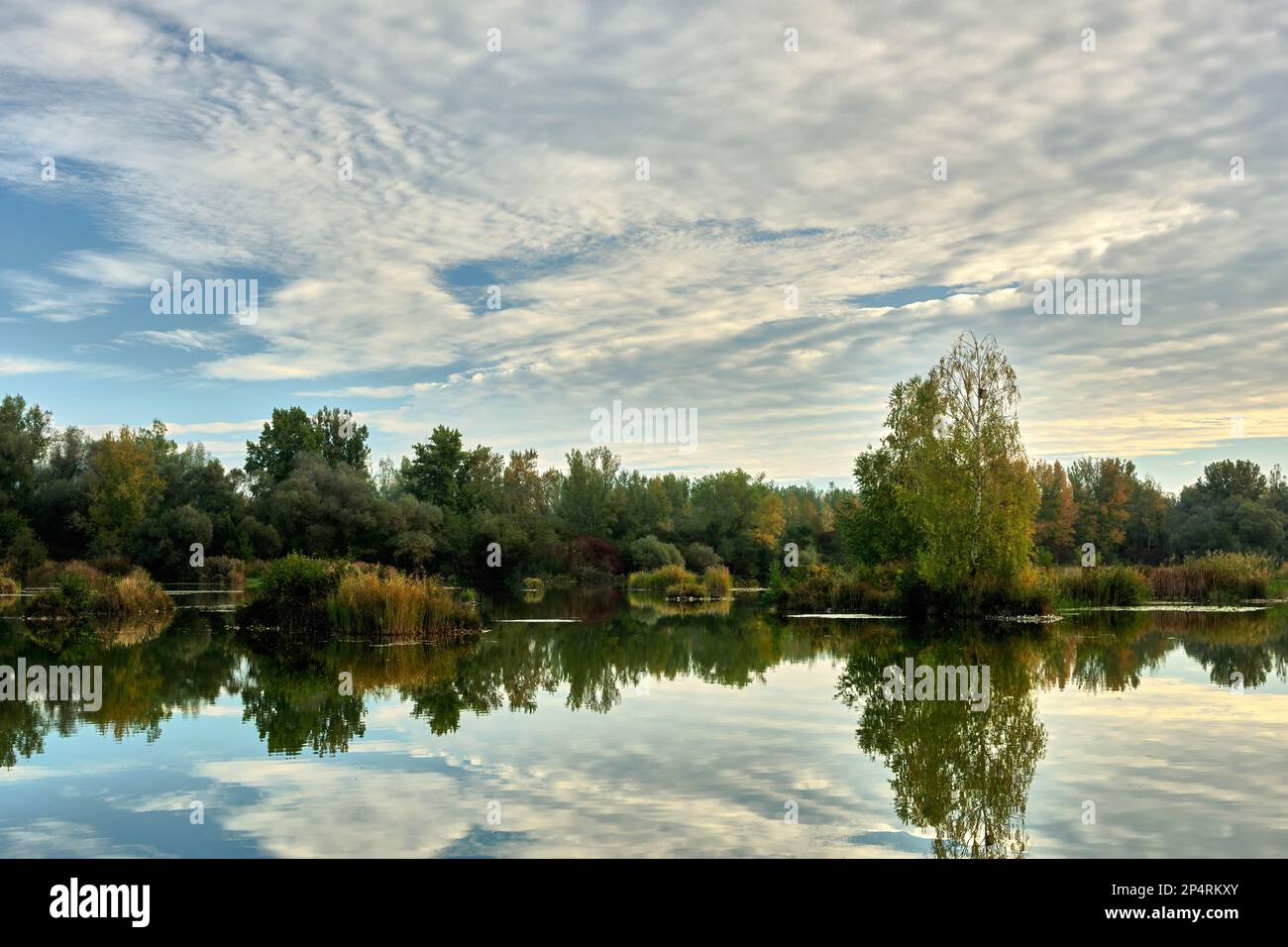 See mit wunderschönem blauen Himmel. Reflexion weißer geschwollener Wolken in der ruhigen Wasseroberfläche. Im Spätherbst. Früh am Morgen. Dubnica, Slowakei. Stockfoto