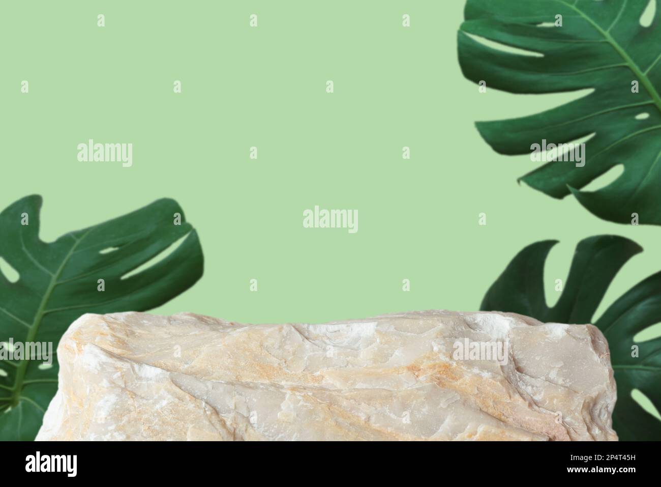 Stein Podium mit Monstera Tropenwaldpflanze verschwommen grün isoliert background.Organic Schönheit gesundes Produkt präsentieren natürliche Platzierung Sockel d Stockfoto