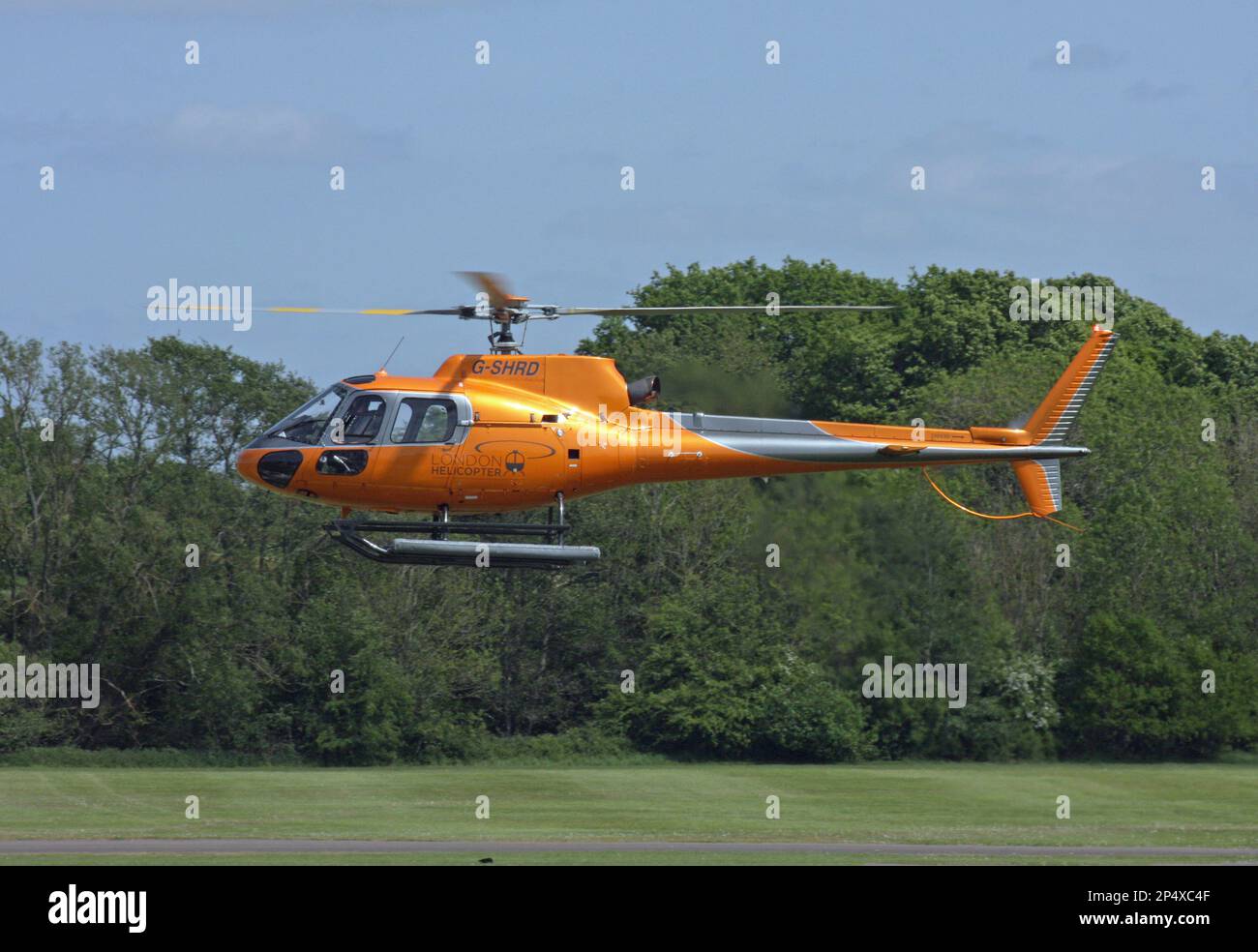 Ein Eurocopter AS 350B2 Ecureuil, der auf dem Redhill-Flugplatz landet Stockfoto