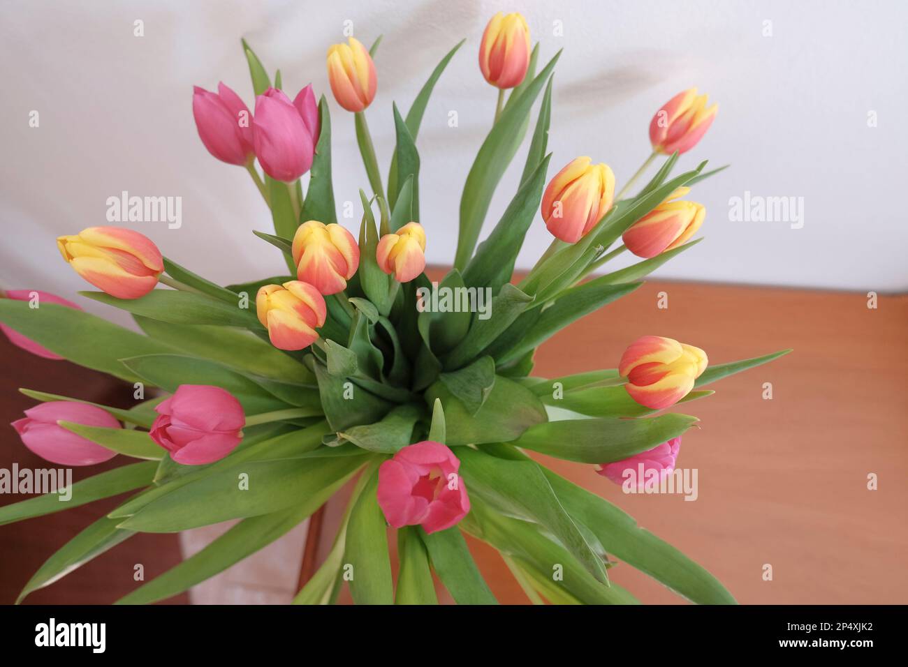 Blumenstrauß aus rosa und gelben Tulpen in Vase, Blick von oben über eine Holzschublade und weiße Wand. Inneneinrichtung. Stockfoto