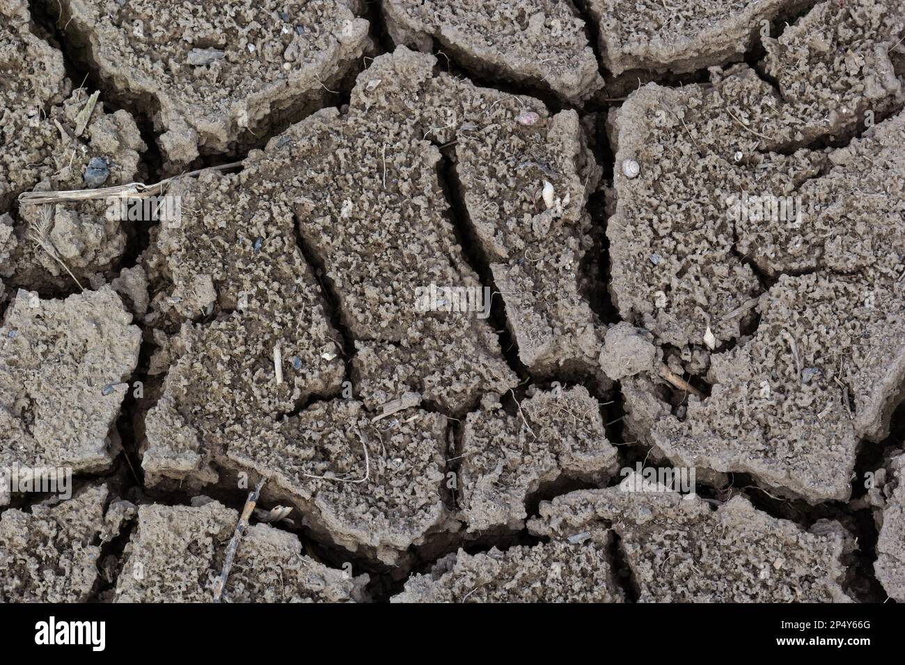 Risse, Dürre, Bodentextur und trockener Schlamm, trockenes Land. Stockfoto