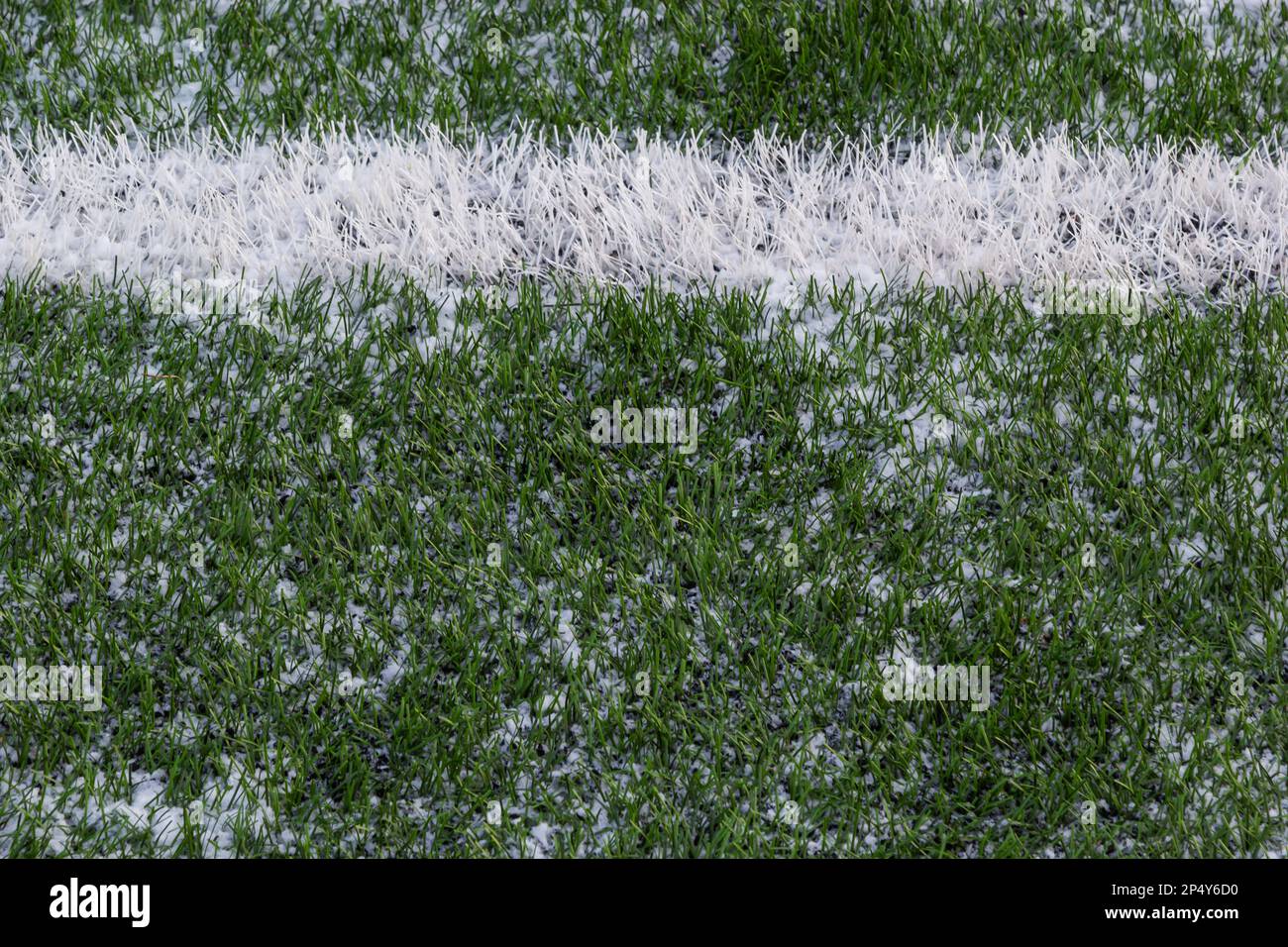 Das Fußballfeld mit Kunstrasen ist mit einer leichten Schneeschicht bedeckt. Frühling. Grünes Gras auf dem Fußballfeld ist von zu sehen Stockfoto