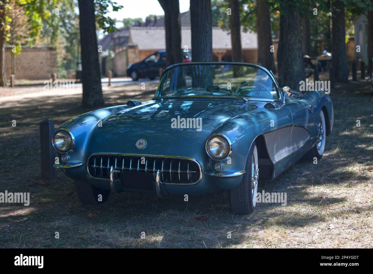 Chantilly, Frankreich - September 03 2016:1956 Chevrolet Corvette Cabrio im Schatten der Bäume. Stockfoto