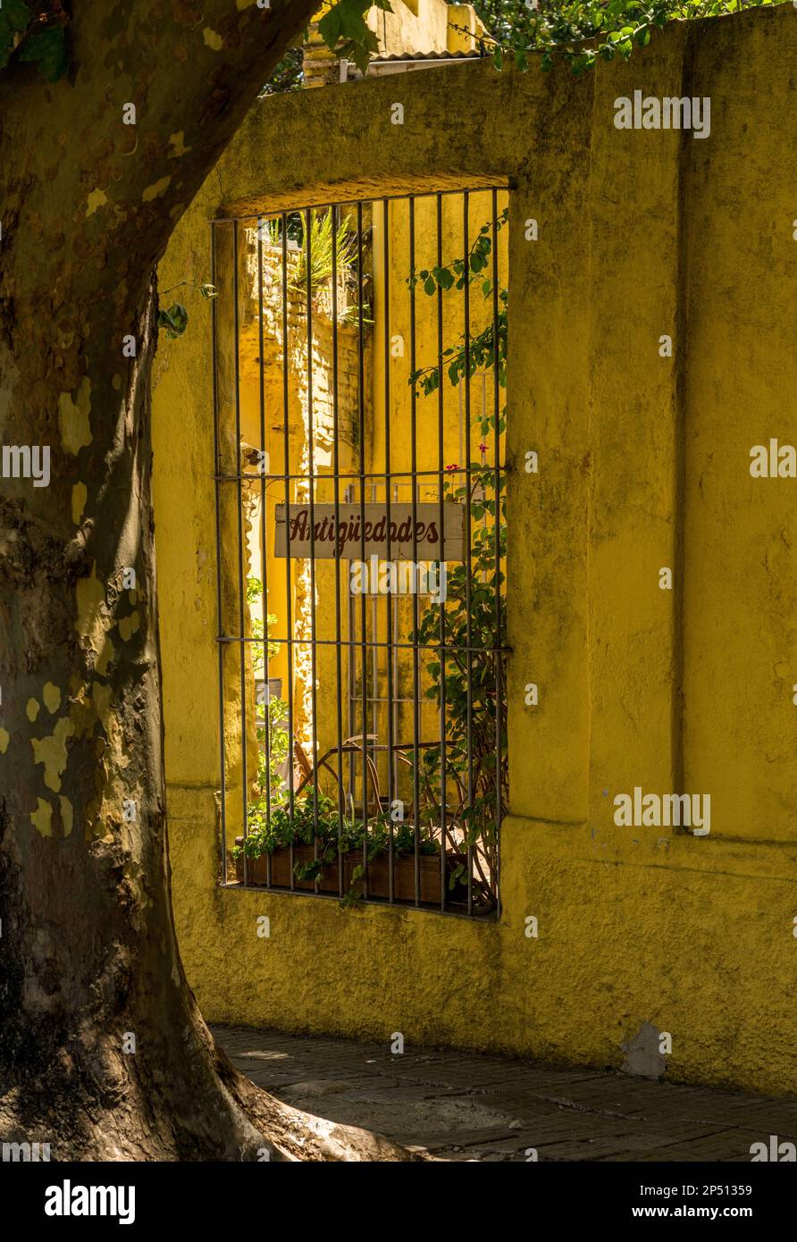 Versperrte Fenster mit Blick auf den Innenhof des Antiquitätengeschäfts in Colonia del Sacramento Stockfoto