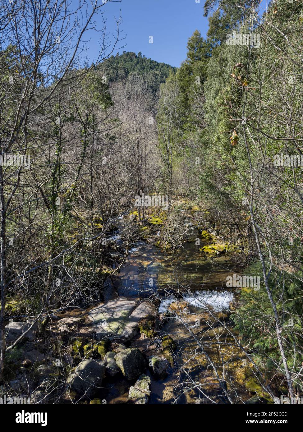 Wasserlauf in der Nähe des Wasserfalls Fecha de Barjas (auch bekannt als Tahiti-Wasserfall) in den Bergen des Peneda-Geres-Nationalparks, Portugal. Stockfoto