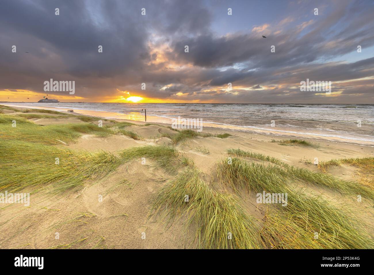 Dünenlandschaft unter bewölktem Herbsthimmel. Dunkle Wolken, die über der untergehenden Sonne wehen. Wijk aan Zee, Nordholland. Niederlande. Meereslandschaft der Natur Stockfoto