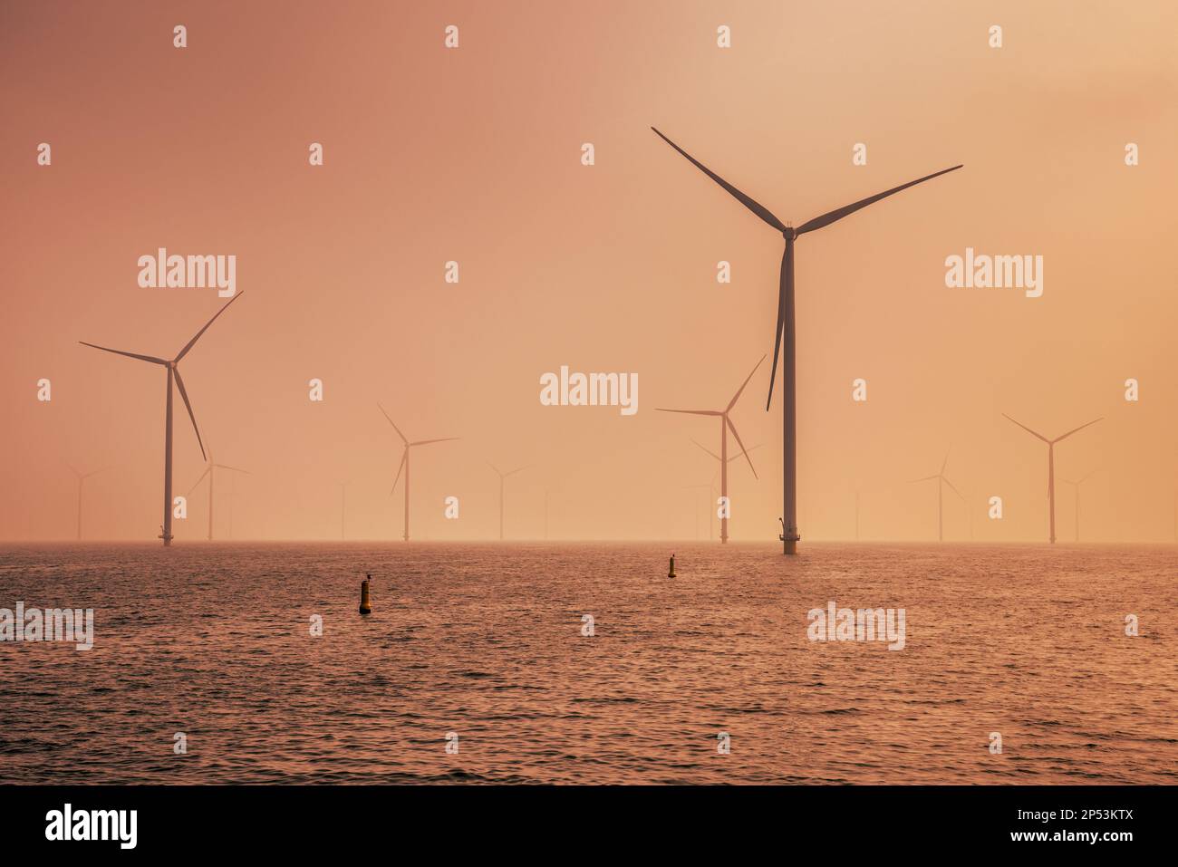 Offshore-Windpark auf See. Gruppe von Windturbinen im IJsselmeer See unter bewölktem Sonnenuntergang. Windenergie ist zu einer der billigsten Formen von e geworden Stockfoto