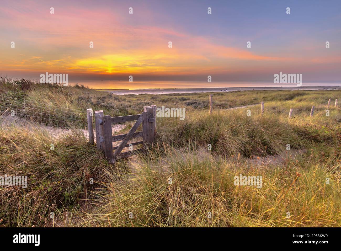 Wandern Sie durch die Dünenlandschaft an der Küste der Nordsee. Wijk aan Zee, Nordholland, Niederlande. Meereslandschaft in der Natur Europas. Stockfoto