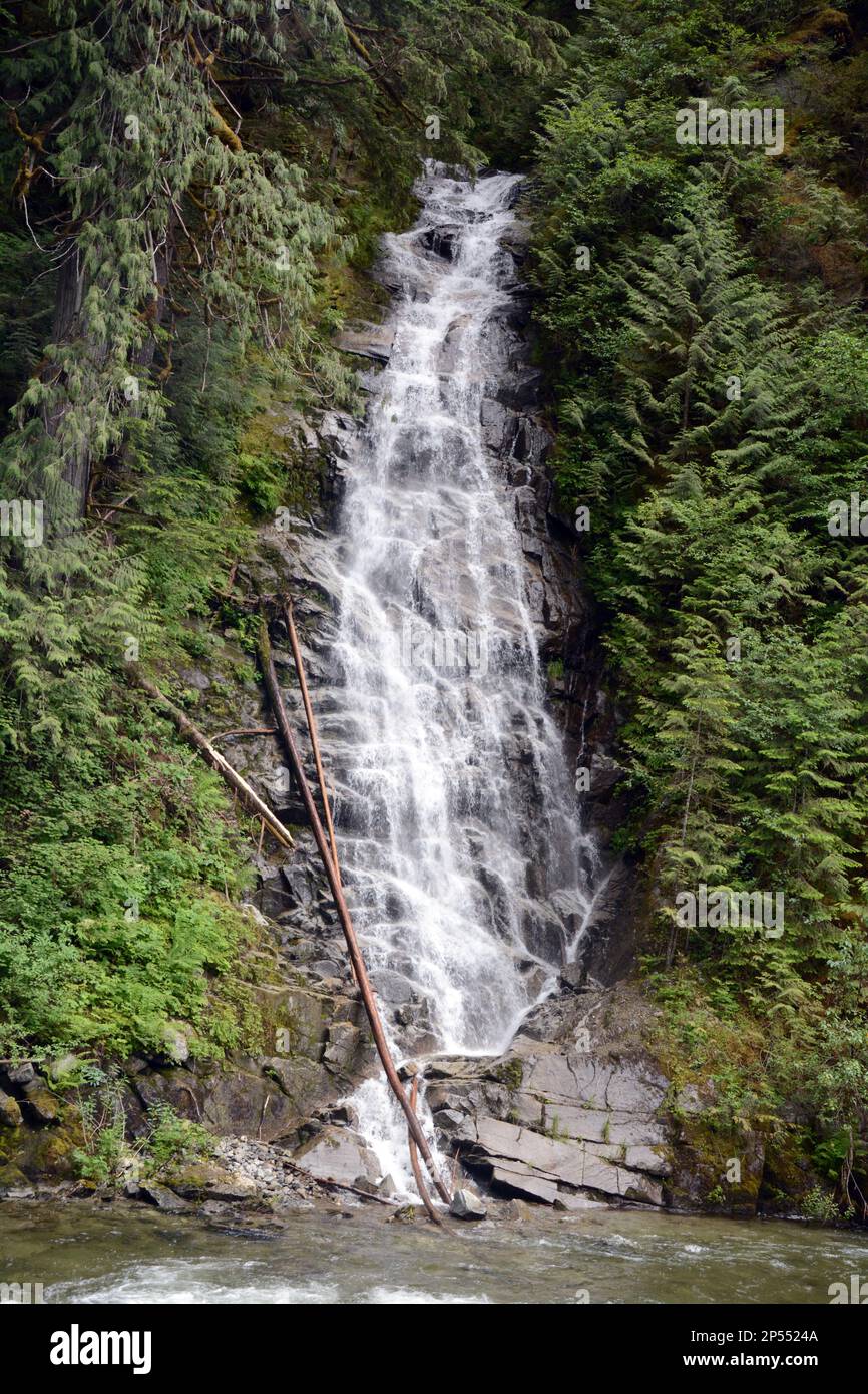 Ein Bergbach und ein Wasserfall, der sich in den Skagit River im Skagit Valley Provincial Park im Süden von British Columbia, Kanada, zieht. Stockfoto