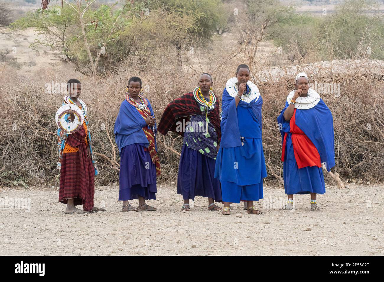 Karatu, Tansania - 16. Oktober 2022: Eine Gruppe masai-Frauen in traditionellen Outfits, die darauf warten, eine Show für Touristen in der Nähe ihres Dorfes zu beginnen. Stockfoto