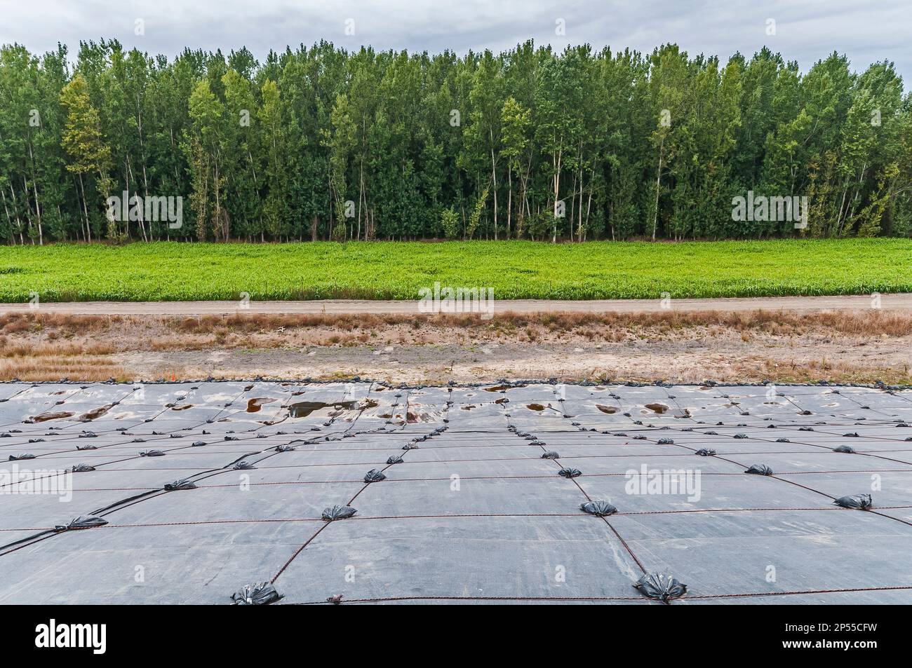 Beschichtete Kunststofffolien bedecken einen Hang in einer aktiven Deponie. Vermutlich PVC-Geomembranen mit einer Baumlinie in der Ferne. Stockfoto