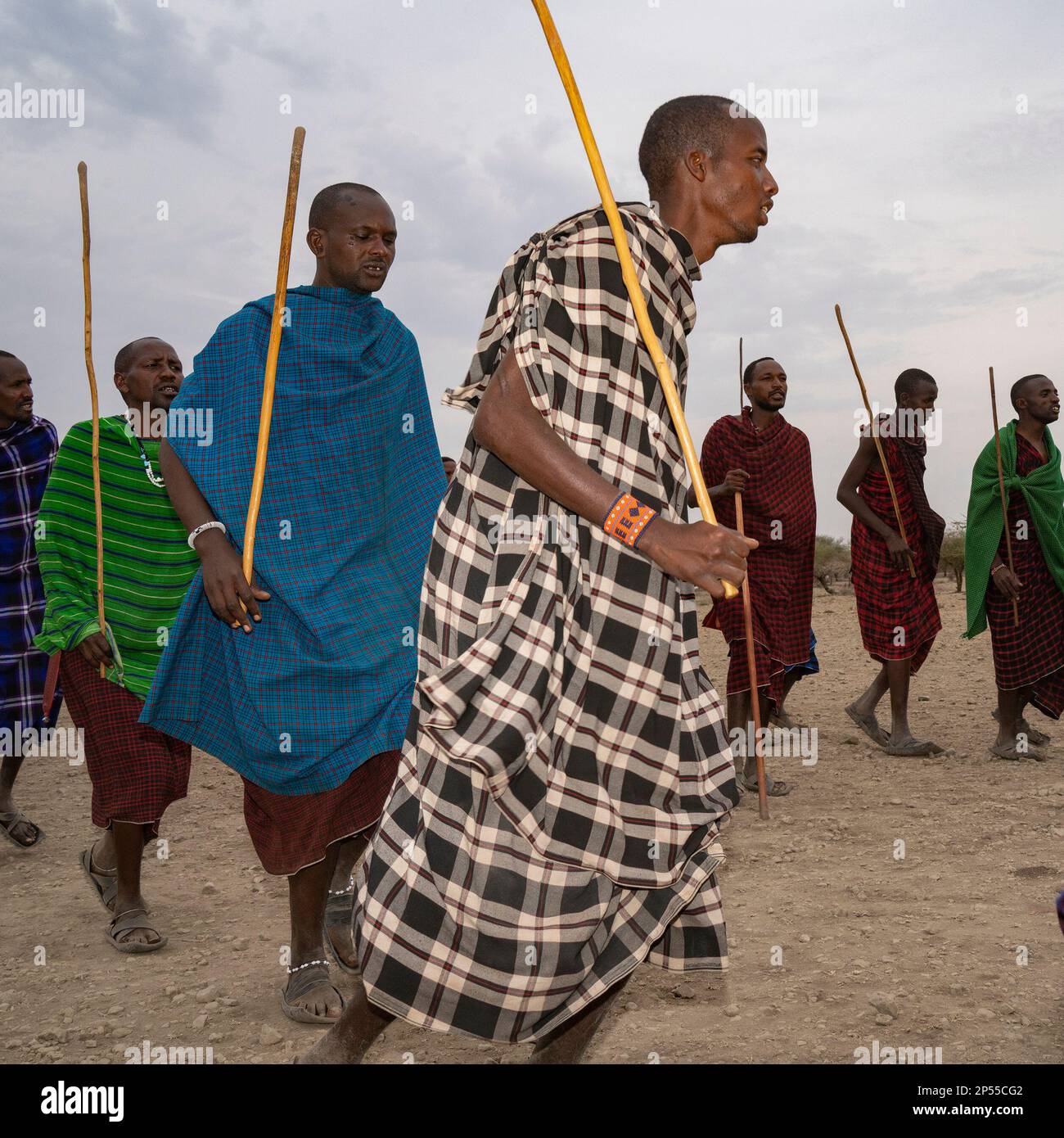 Karatu, Tansania - 16. Oktober 2022: Eine Gruppe masai-Männer in traditionellen Outfits, die während einer Show für Touristen in der Nähe ihres Dorfes tanzen. Stockfoto