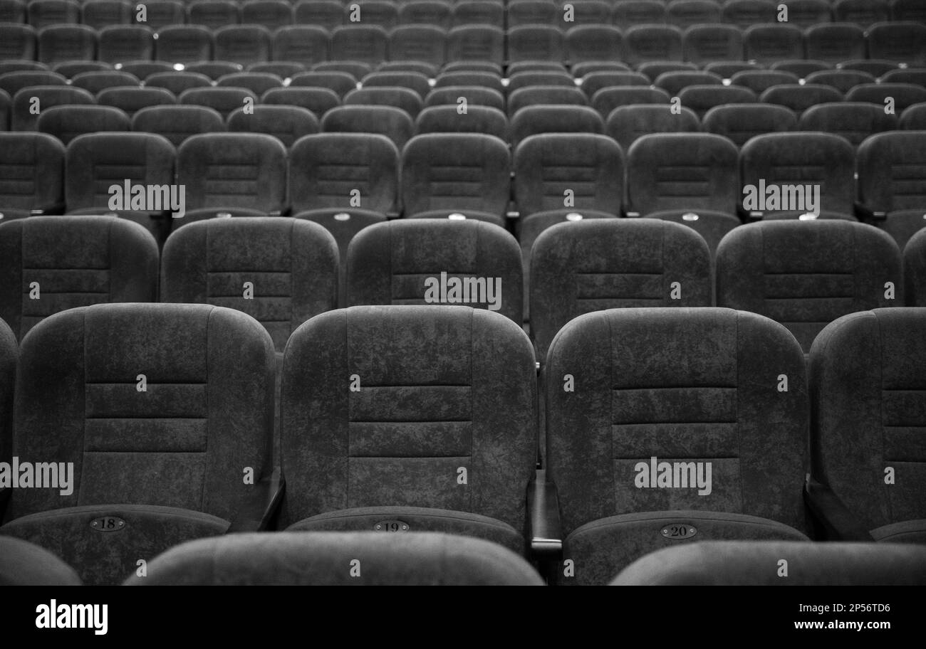Leere Sitzreihen im Flur für eine große Anzahl von Personen. Kino und Theaterhalle für Auftritte. Stockfoto