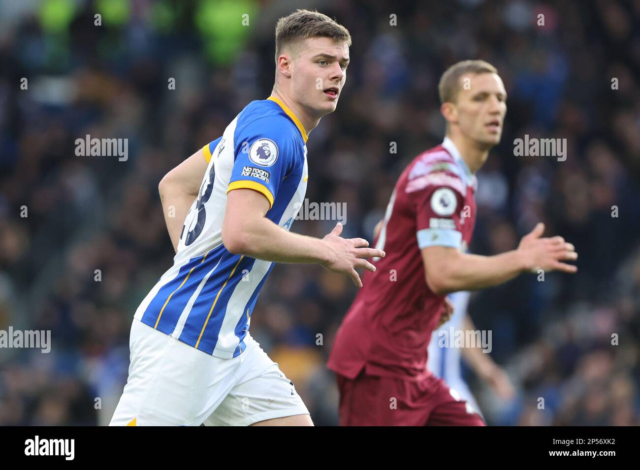 Evan Ferguson n Action für Brighton & Hove Albion im AMEX-Stadion Stockfoto