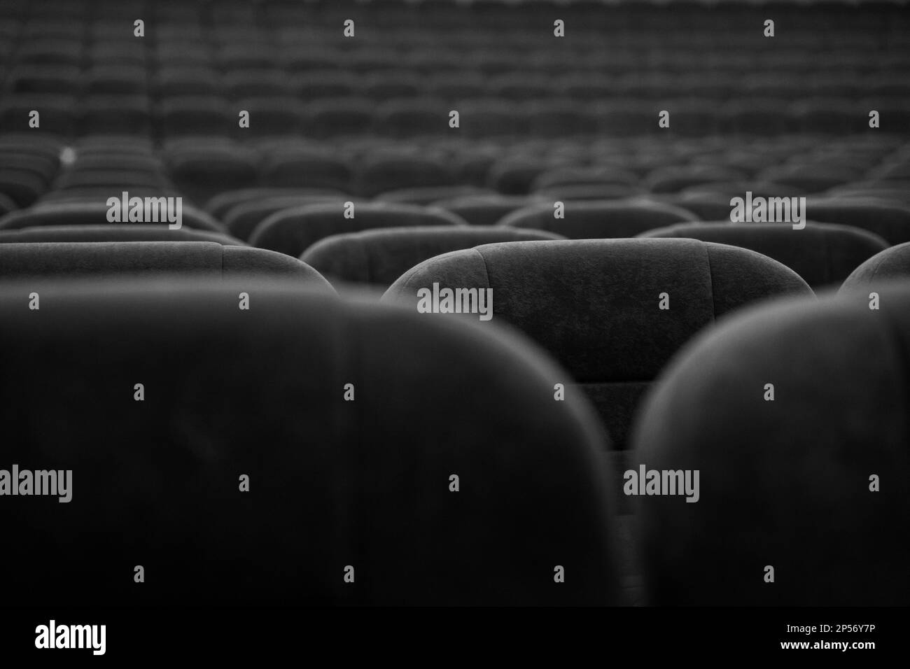 Leere Sitzreihen im Flur für eine große Anzahl von Personen. Kino und Theaterhalle für Auftritte. Stockfoto