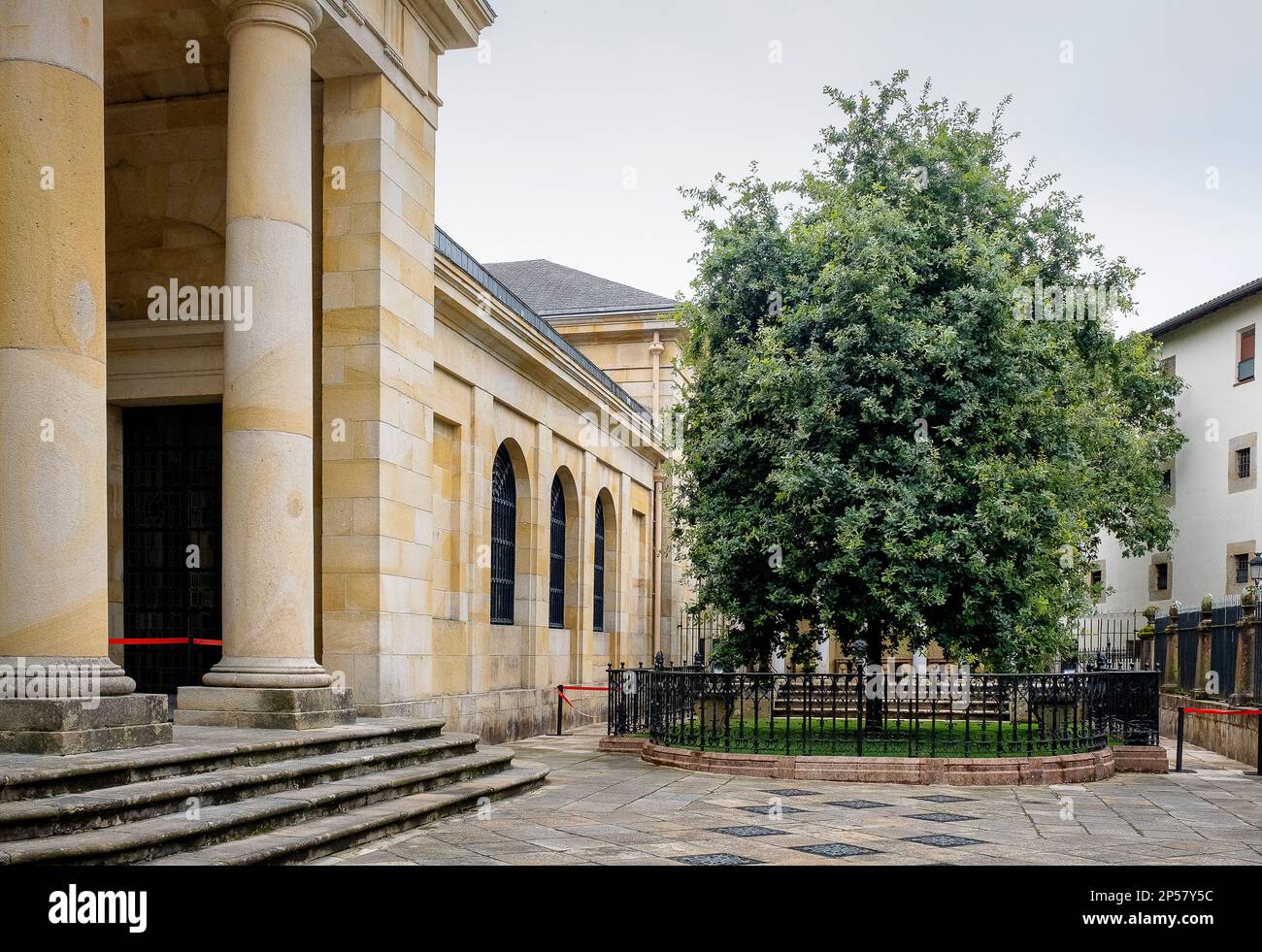 Der Baum von Gernika außerhalb der Assembly Haus (Casa de Las Juntas), Gernika (Guernica), Bizkaia, Baskenland, Spanien Stockfoto