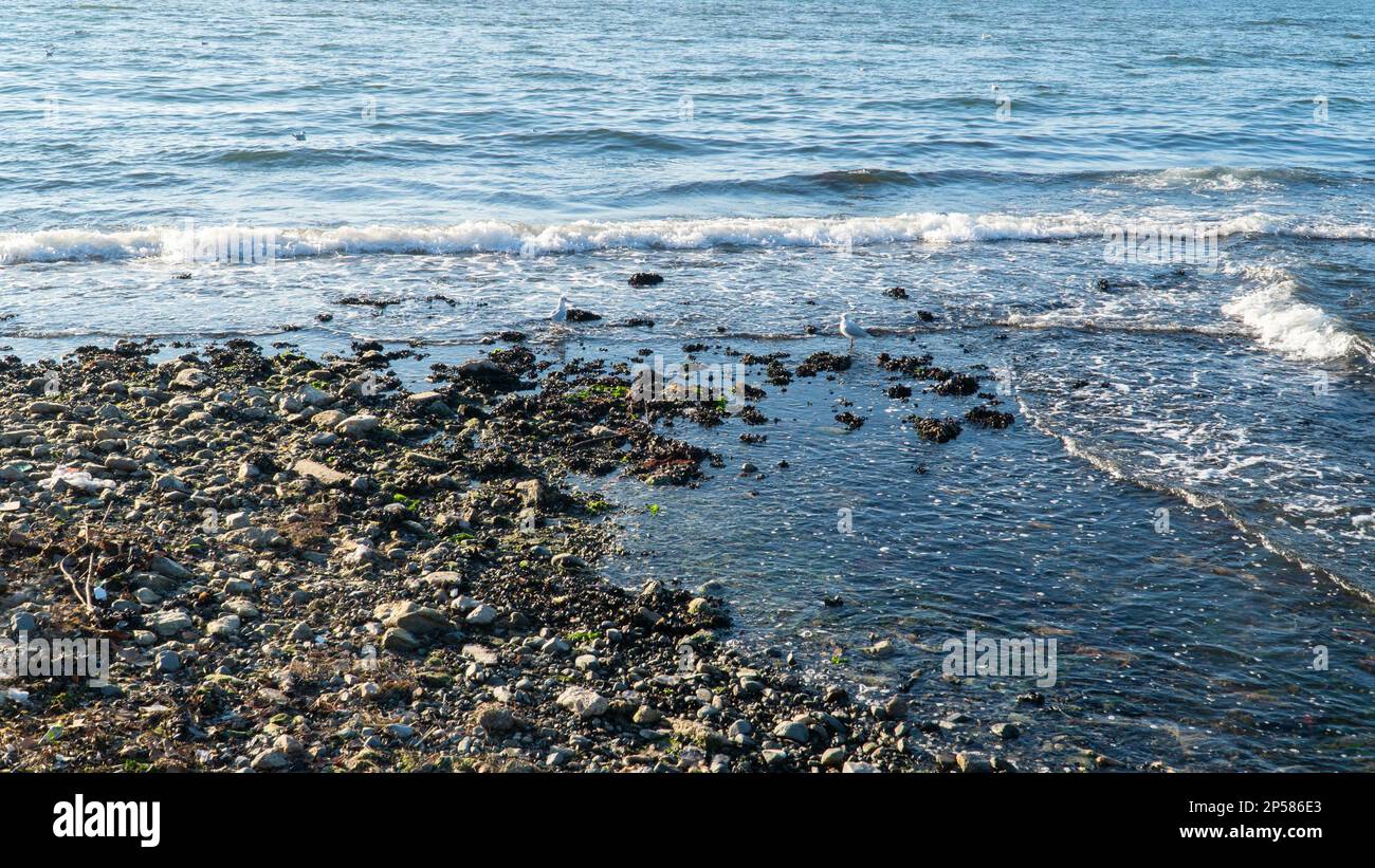 Ebbe und Fluss. Flut. Der Meeresspiegel sinkt oder sinkt. Seascape Stockfoto