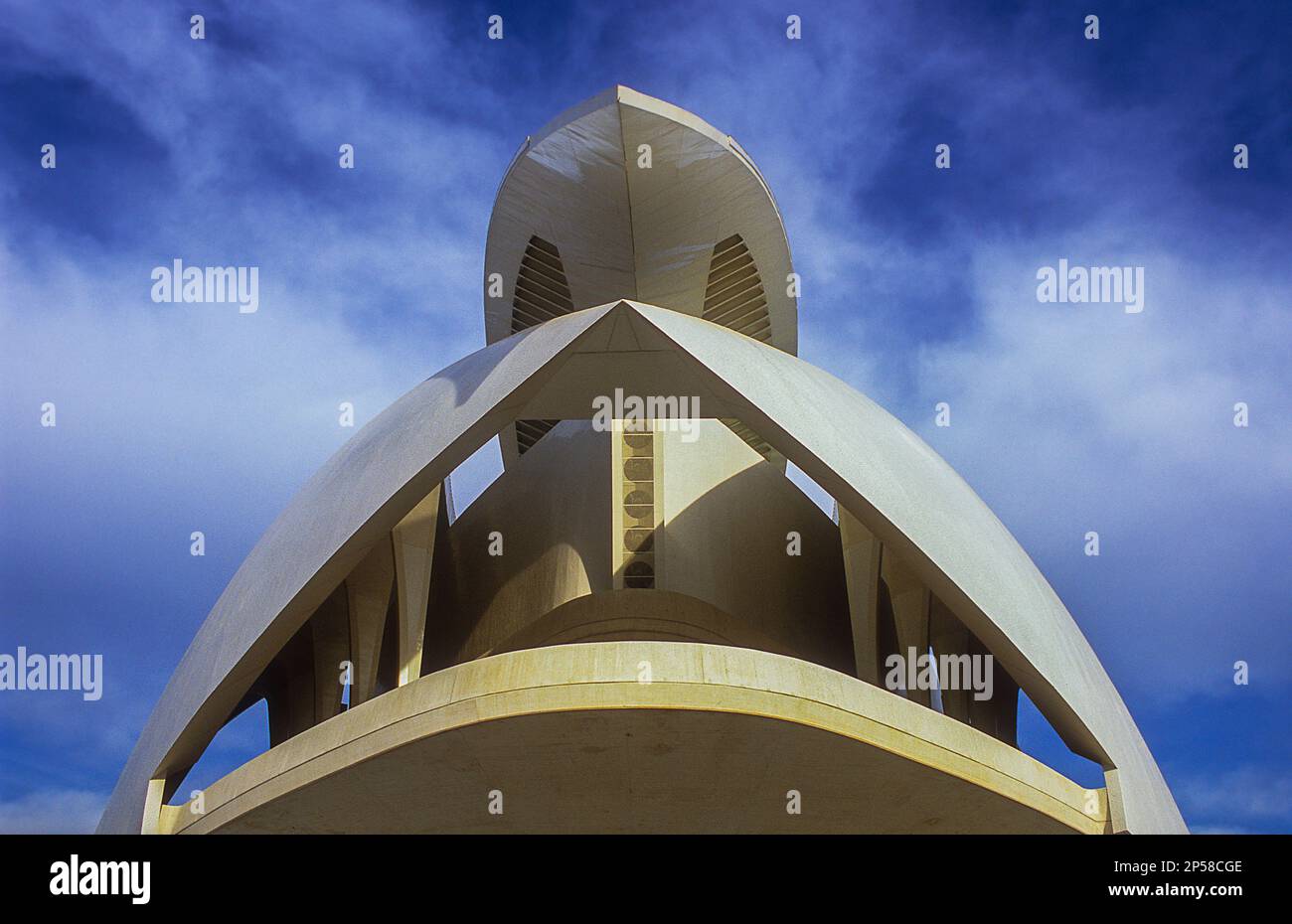 Detail der Palacio de Las Artes Reina Sofía, Stadt der Künste und Wissenschaften von S. Calatrava. Valencia. Spanien Stockfoto