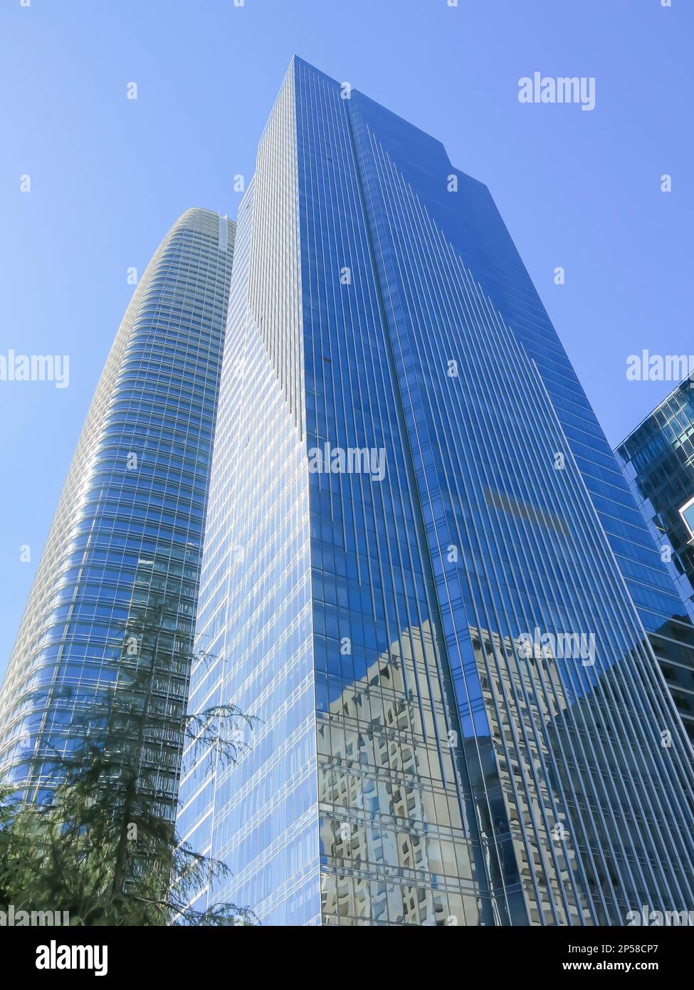 San Francisco Wolkenkratzer aus Sicht des Salesforce Park Stockfoto