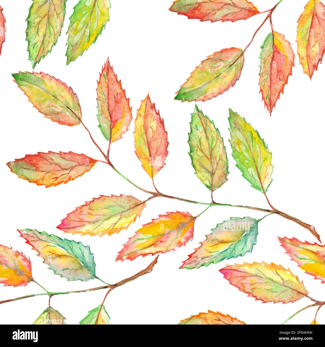 Aquarell aschebeerblatt mit botanischem Nahtmuster. Stockfoto