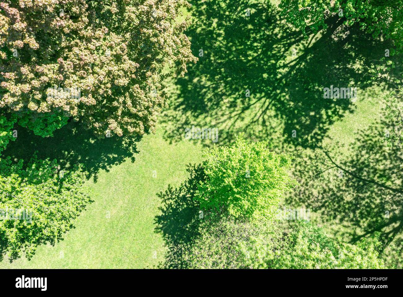 Blick aus der Vogelperspektive auf den grünen Quellpark an sonnigen Tagen. Von einer Drohne über den Baumwipfeln erschossen. Stockfoto