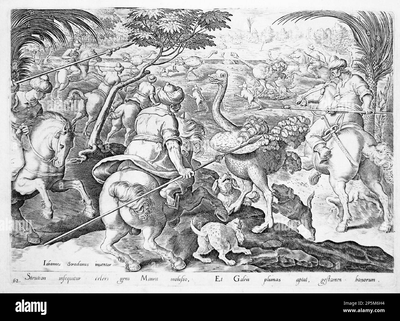 Ätzen von Männern auf Pferderücken, die Strauße mit Hunden jagen, um 1580 Stockfoto