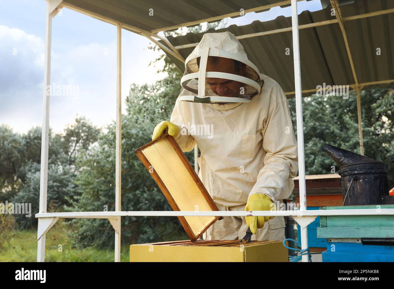 Imker kratzen Wachs aus dem Honigrahmen in der Bienenstelle Stockfoto