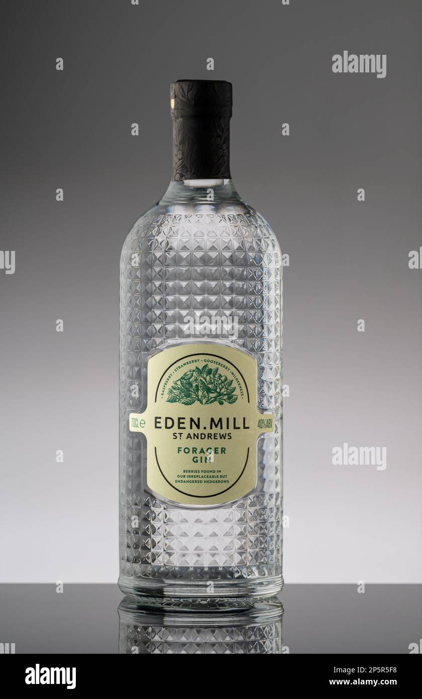 Eden Mills Forester Gin Stockfoto