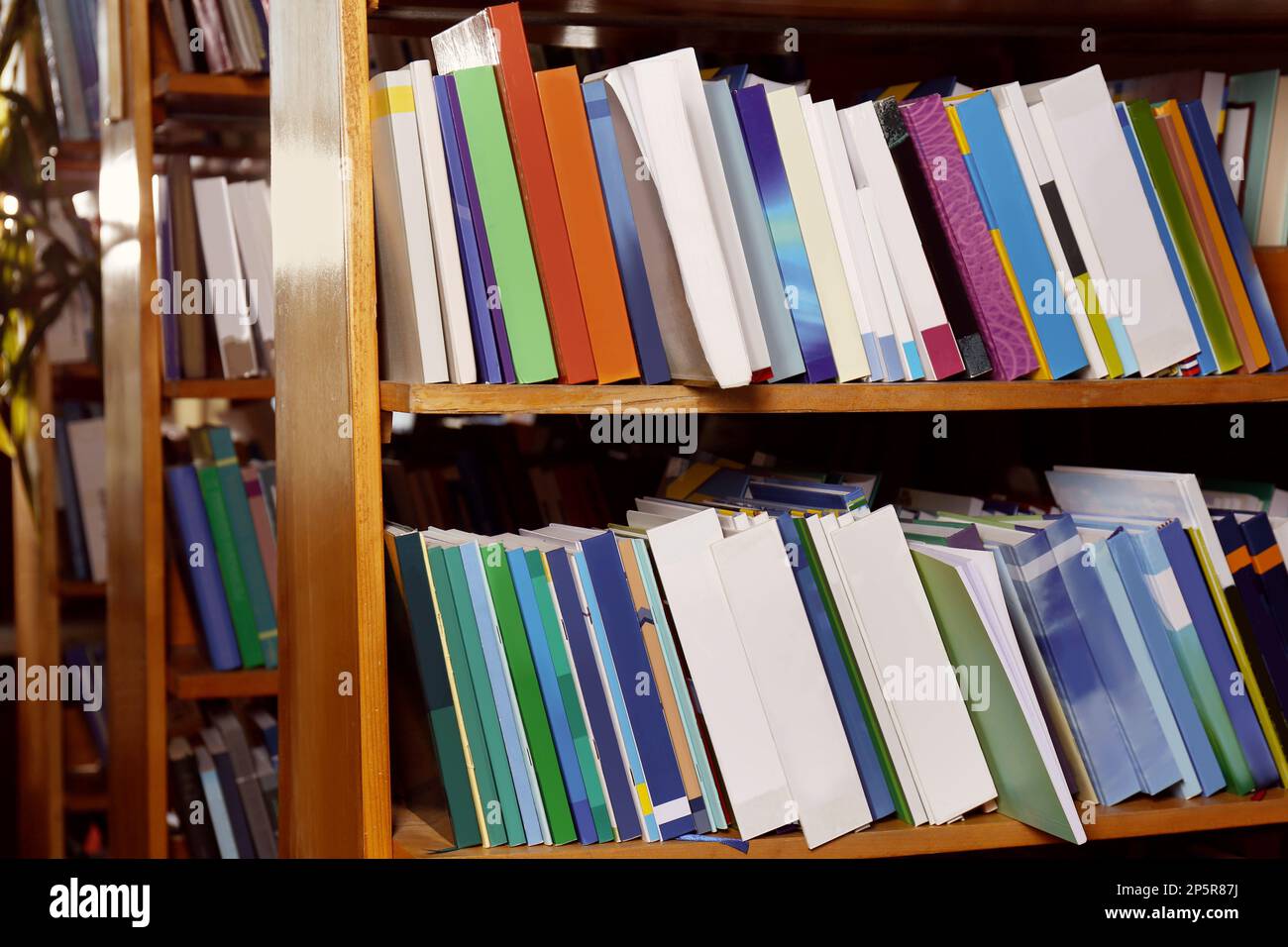 Sammlung verschiedener Bücher auf Regalen in der Bibliothek Stockfoto