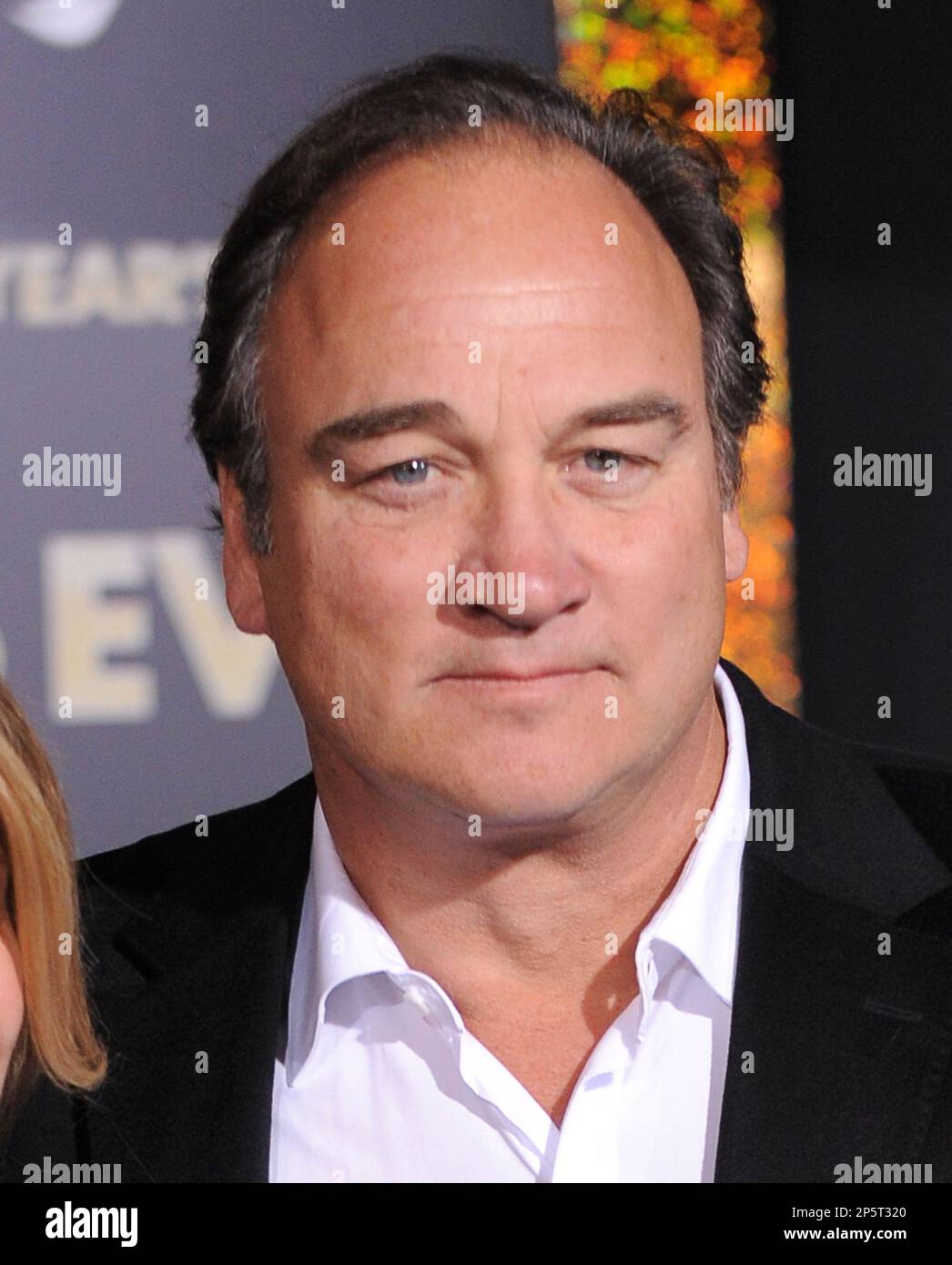 HOLLYWOOD, CA - DECEMBER 05: Actor Jim Belushi arrives at the Los Angeles premiere of "New Year's Eve" at Grauman's Chinese Theatre on December 5, 2011 in Hollywood, California. (Photo by Jordan Strauss/Invision/AP Images) Stockfoto