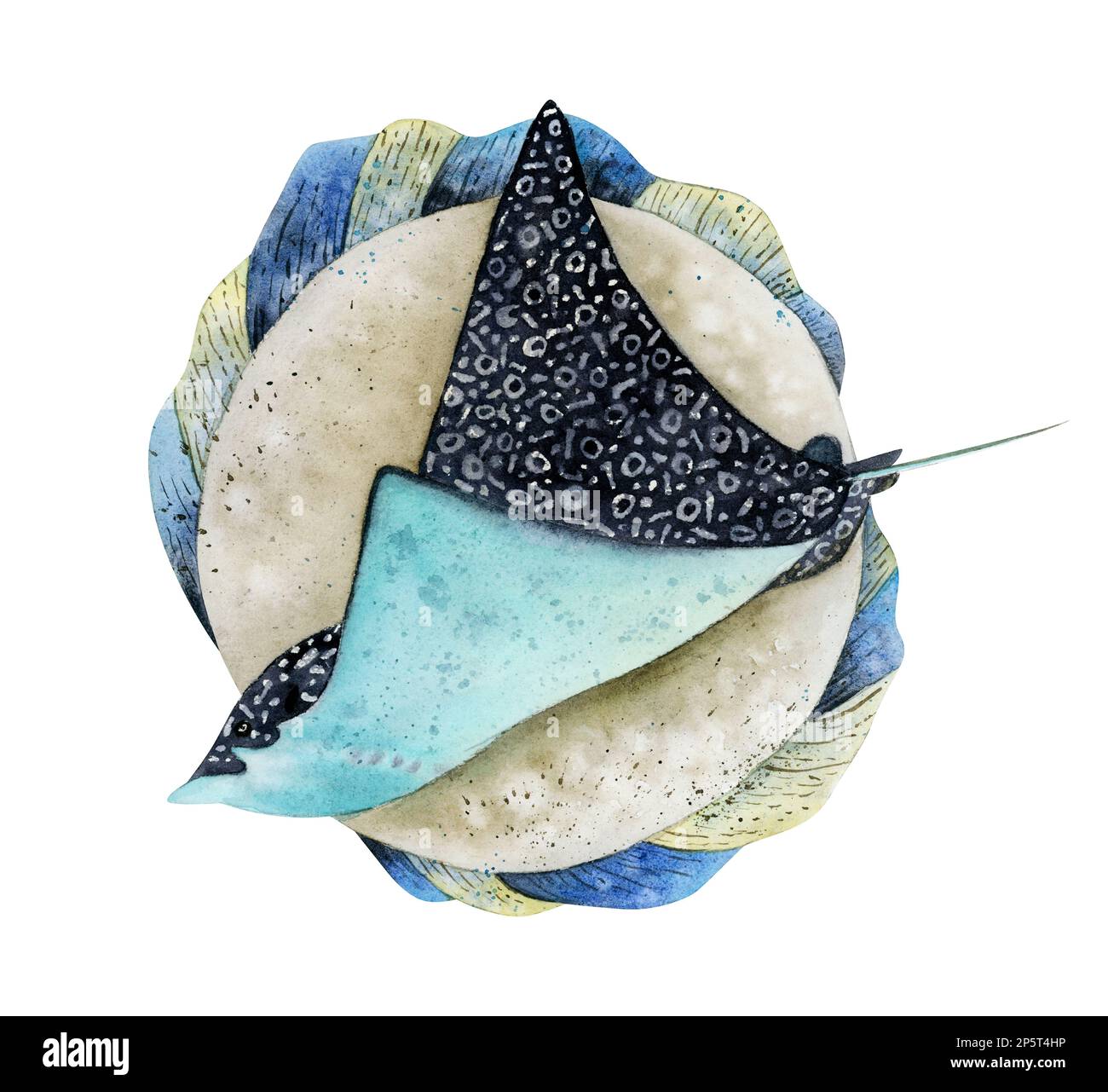 Aquarell gefleckter Adlerrochen und Meeressonnenfische handgezeichnete Illustrationen isoliert auf Weiß. Nautische Unterwassertiere Stockfoto