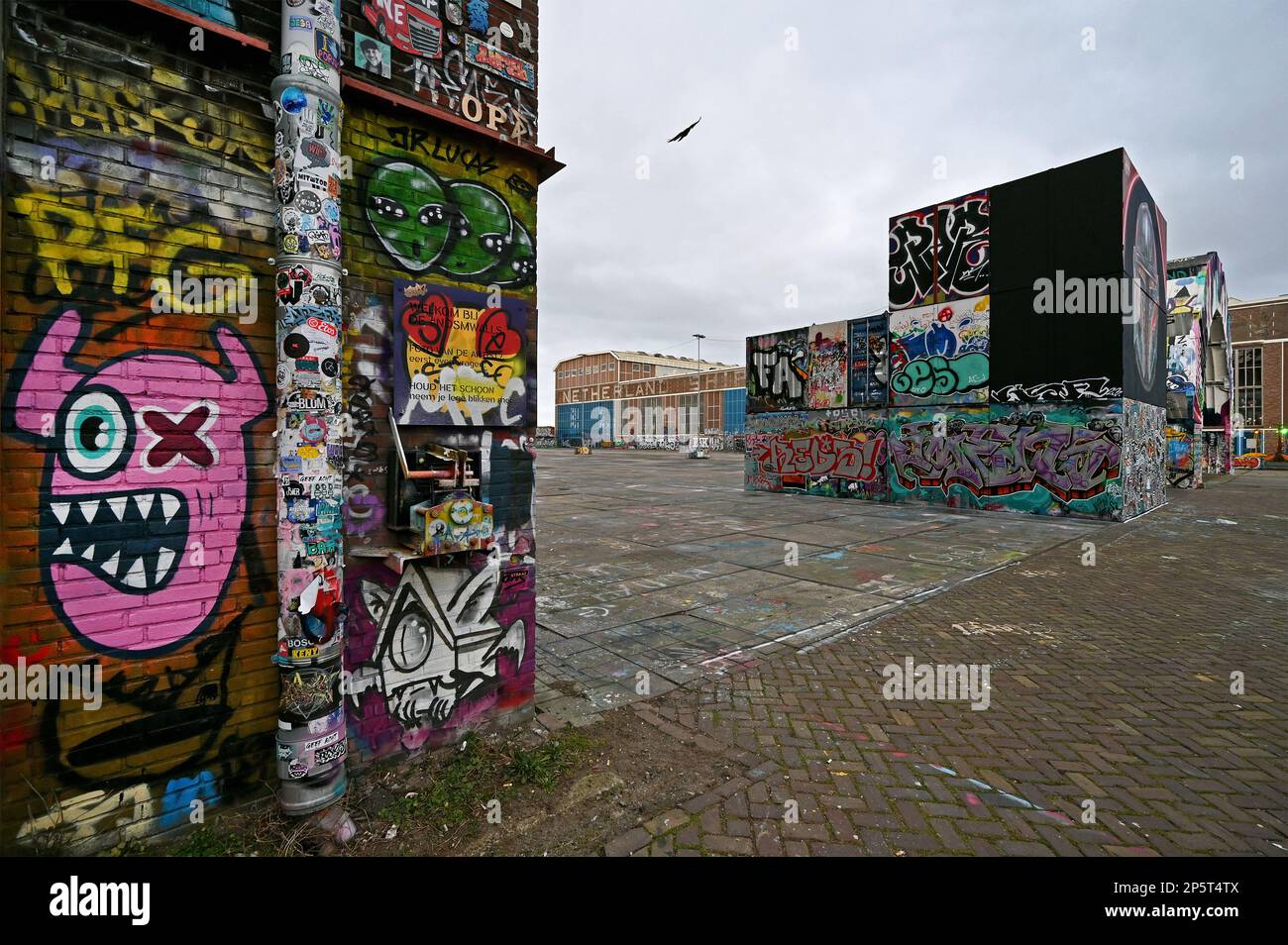 Graffiti neben dem Straat Museum, NDSM Plein, Amsterdam, Niederlande Stockfoto