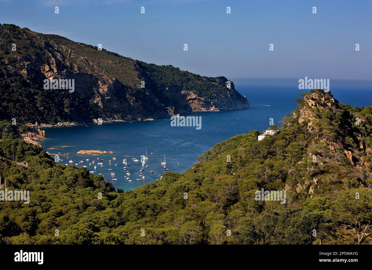 Aigua Blava. Es ist in der Nähe von Tamariu. An Der Costa Brava. Provinz Girona. Katalonien. Spanien Stockfoto