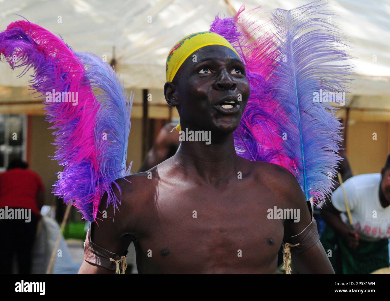 Eine farbenfrohe Zeremonie zur Feier der ersten Ernte der heiligen Marulafrucht, die auch für die Zubereitung von traditionellem Bier in Limpopo, Südafrika, verwendet wird Stockfoto