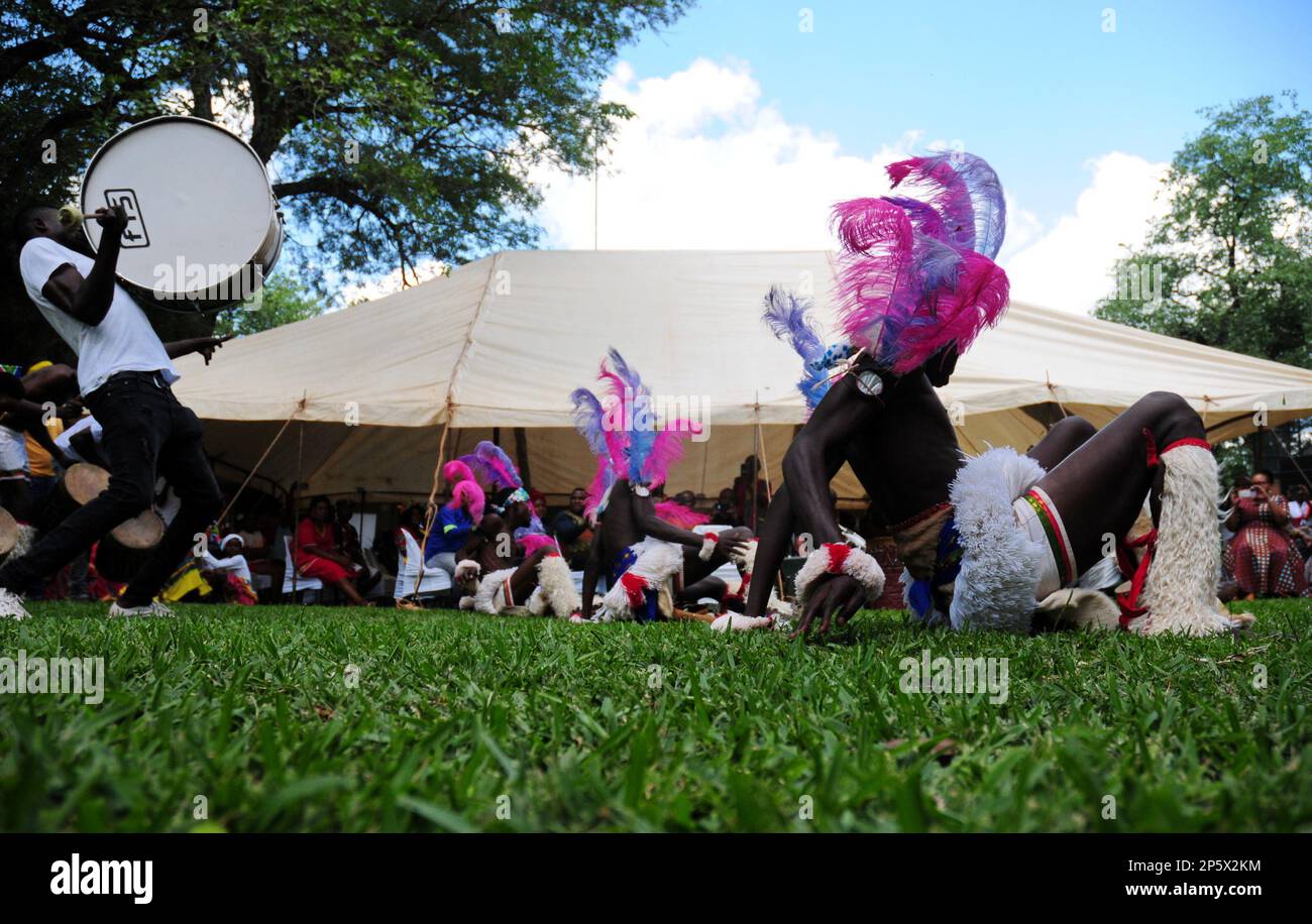 Eine farbenfrohe Zeremonie zur Feier der ersten Ernte der heiligen Marulafrucht, die auch für die Zubereitung von traditionellem Bier in Limpopo, Südafrika, verwendet wird Stockfoto