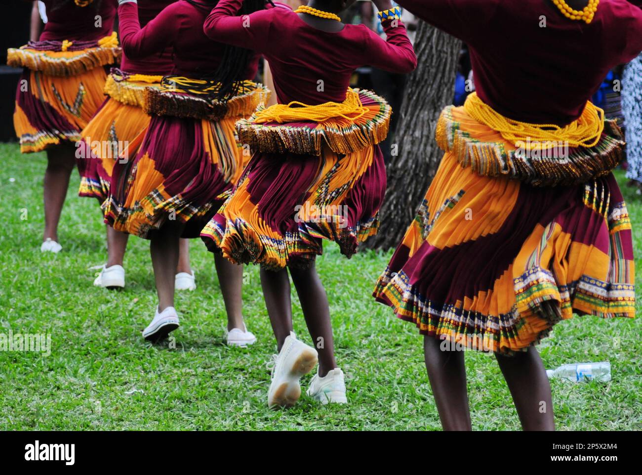 Eine farbenfrohe Zeremonie zur Feier der ersten Ernte der heiligen Marulafrucht, die auch für die Zubereitung von traditionellem Bier in Limpopo, Südafrika, verwendet wird Stockfoto