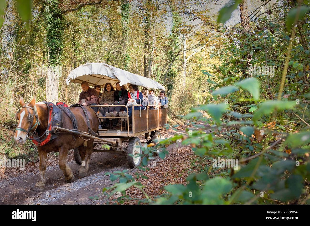 Touristischen Beförderung in Fageda d ' en Jordà, Naturpark der Garrotxa, Provinz Girona. Katalonien. Spanien Stockfoto