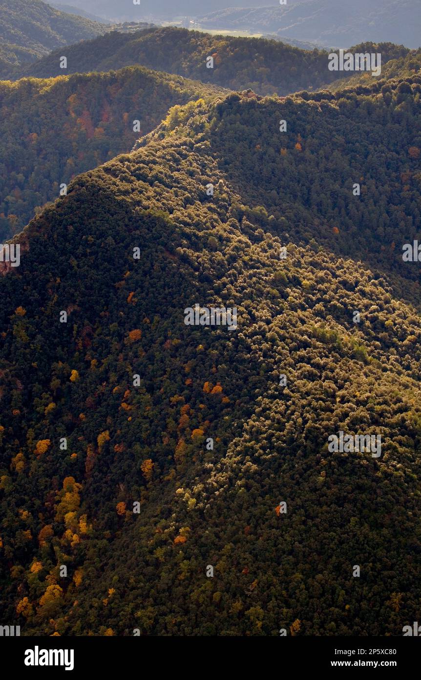 Im Ballon über Serra de Sant Julià, Naturpark der Garrotxa, Provinz Girona. Katalonien. Spanien Stockfoto