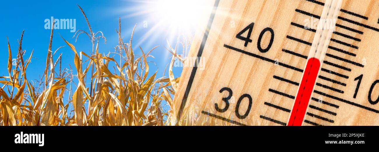Das Thermometer zeigt hohe Temperaturen in der Sommerhitze an Stockfoto