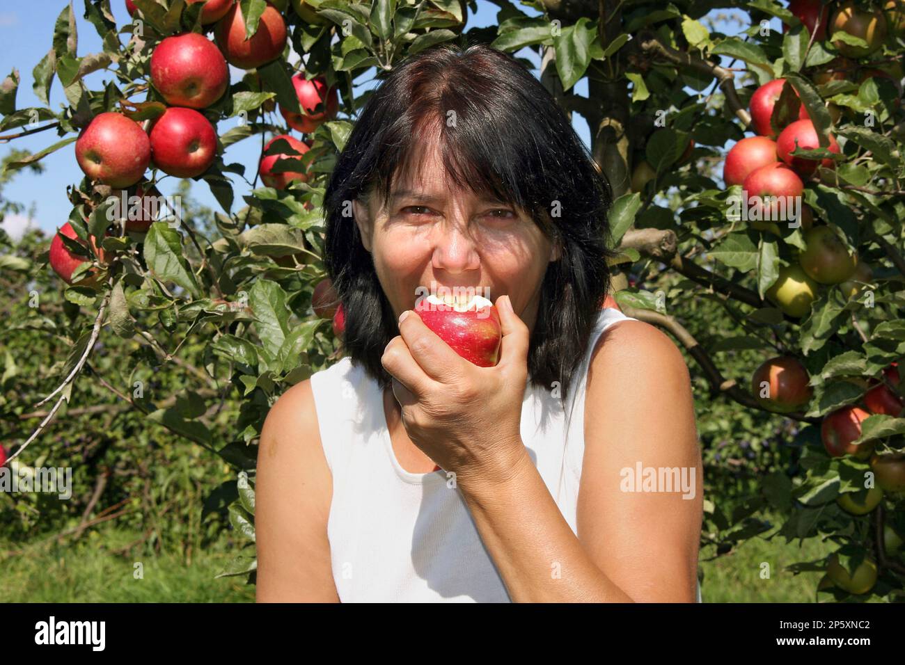 apfel (Malus domestica), Frau steht vor einem Apfelbaum und beißt in einen köstlichen Apfel Stockfoto