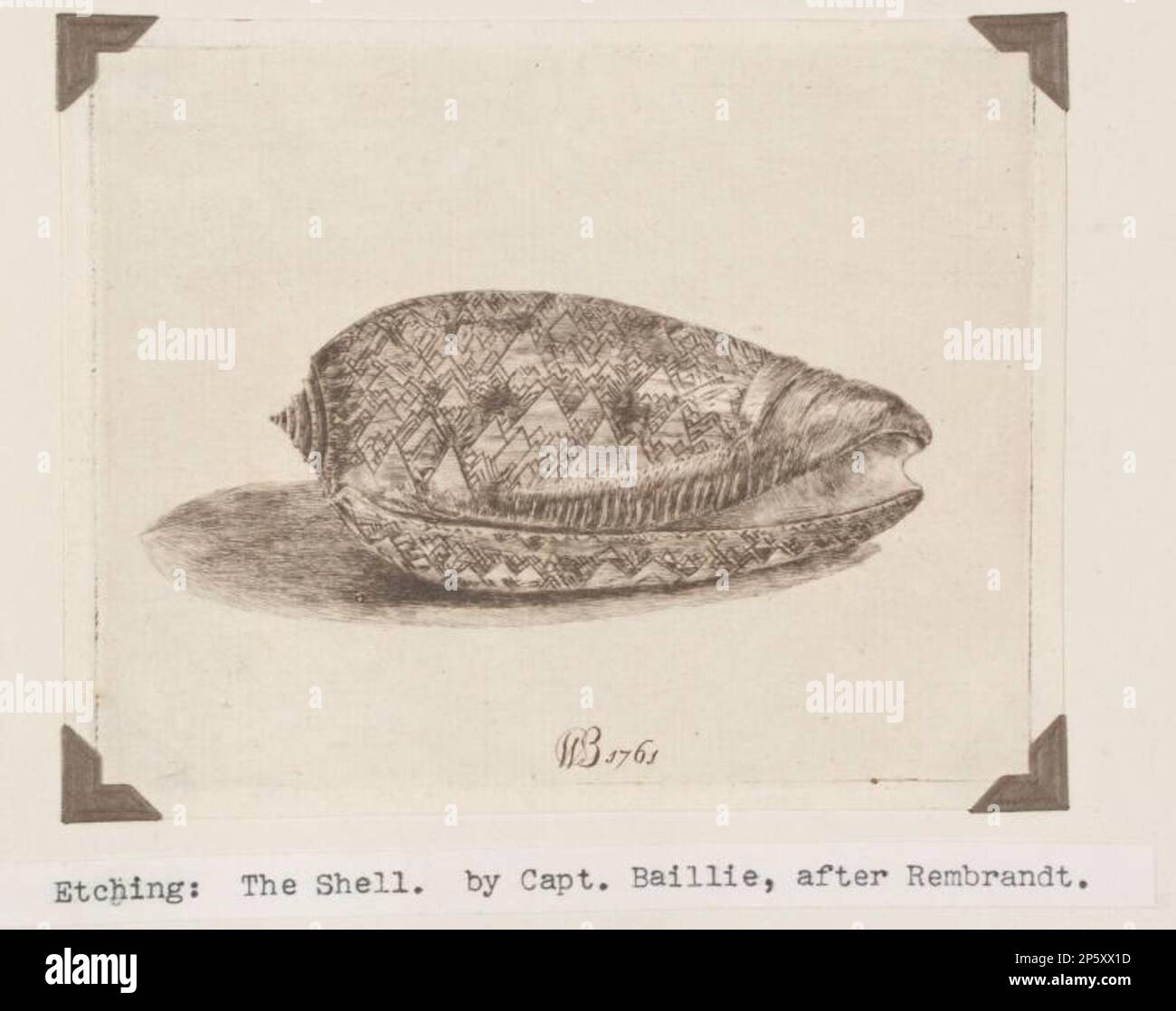 The Shell, Captain William Baillie (Kilbride, Co Carlow, Irland, 1723 - 1792) Stockfoto