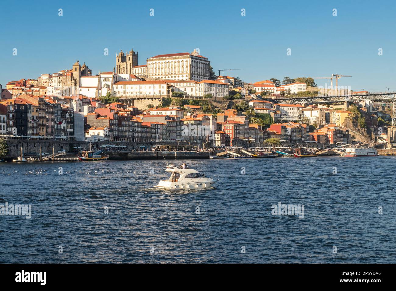 Blick über Porto von Vila Nova de Gaia, mit dem Fluss Douro im Vordergrund und dem Pier am Flussufer, den Häusern und der Kathedrale im Hintergrund, Stockfoto