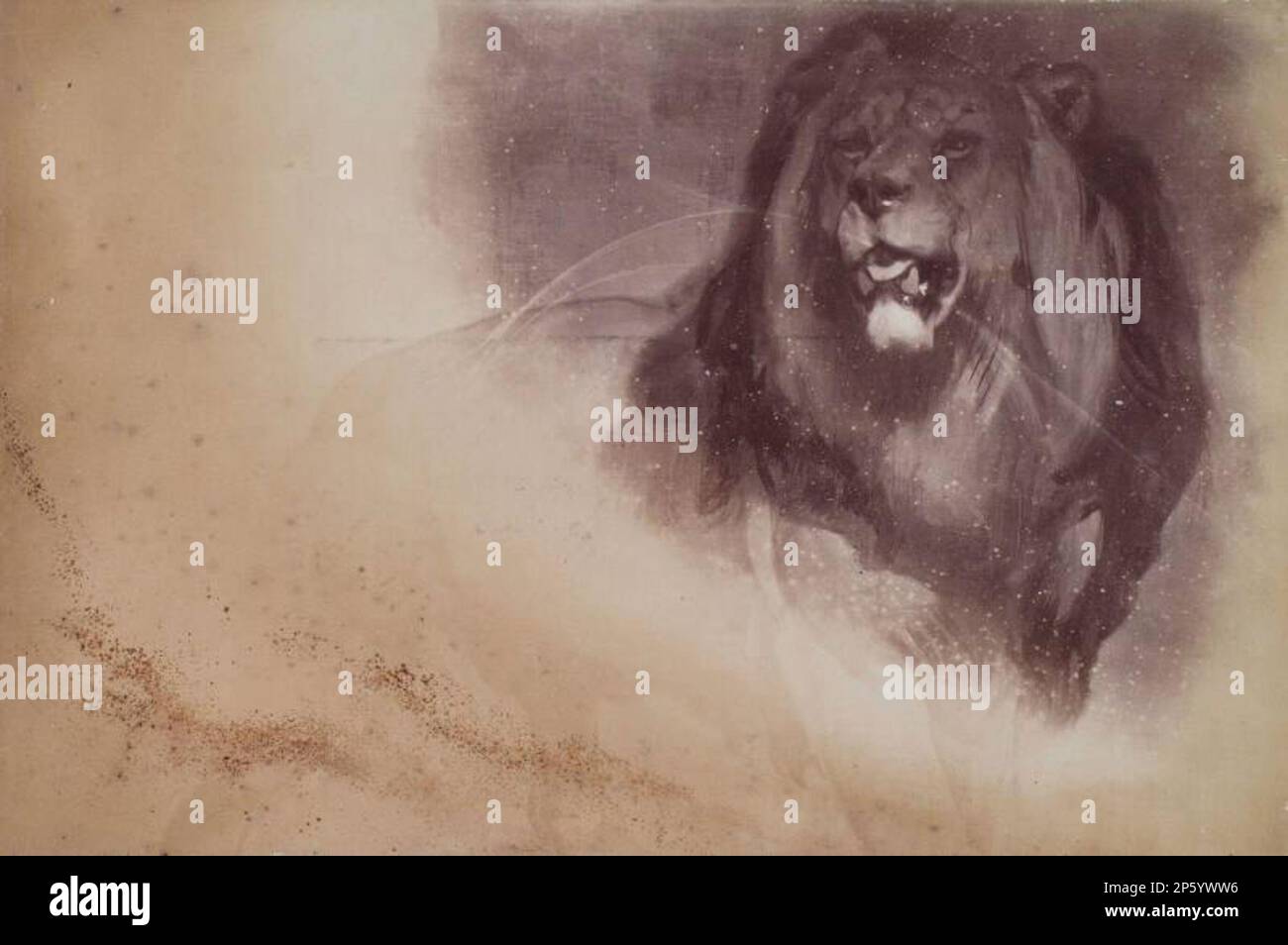 Foto von „A Study of Landseer's Lions“ von Millais aus einem Album von Sir John Everett Millais, Artist Unknown Stockfoto