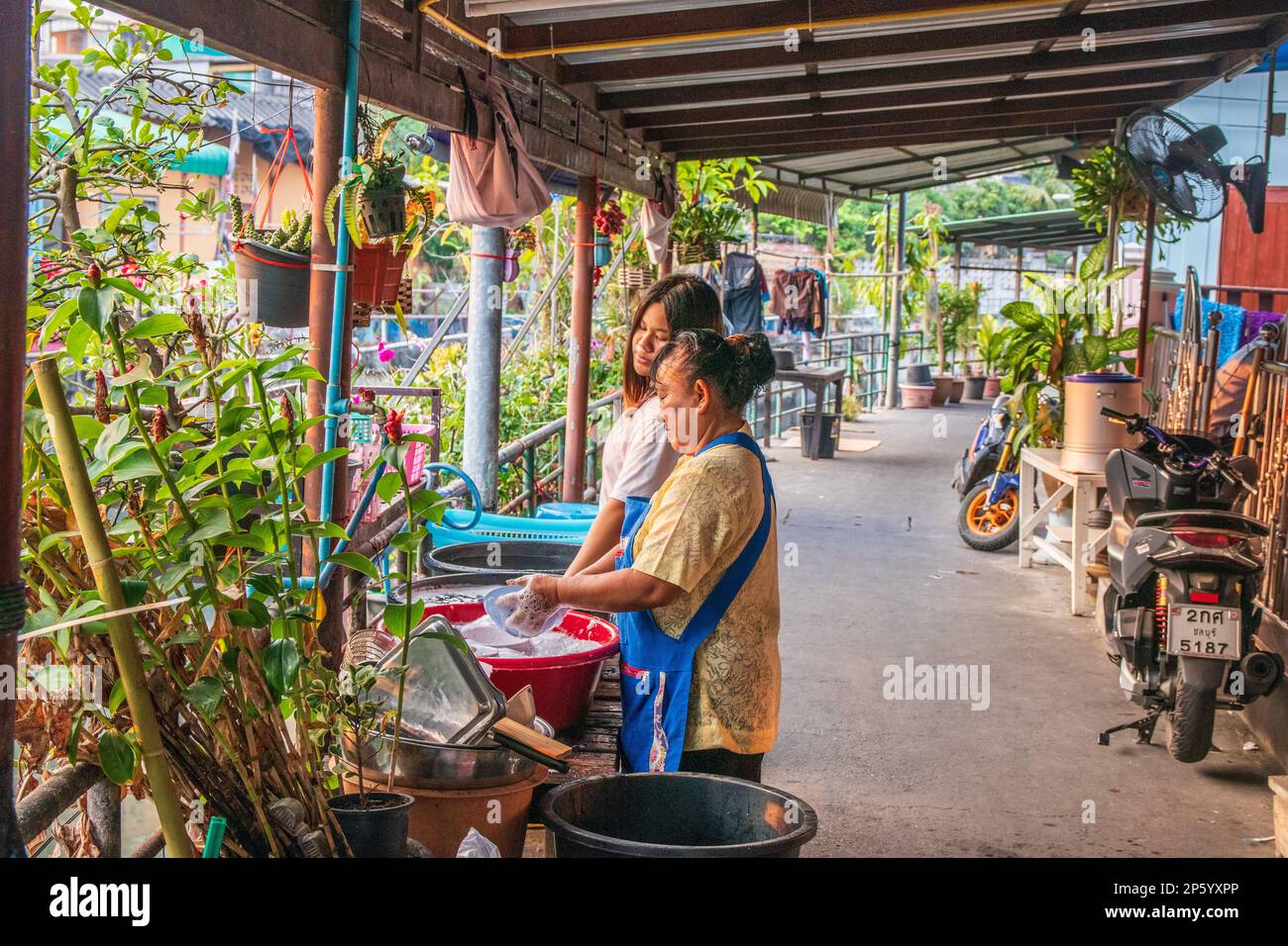 Thailändische Frauen putzen oder spülen Geschirr auf einem Weg in einem Wohngebiet in Thailand, Asien Stockfoto