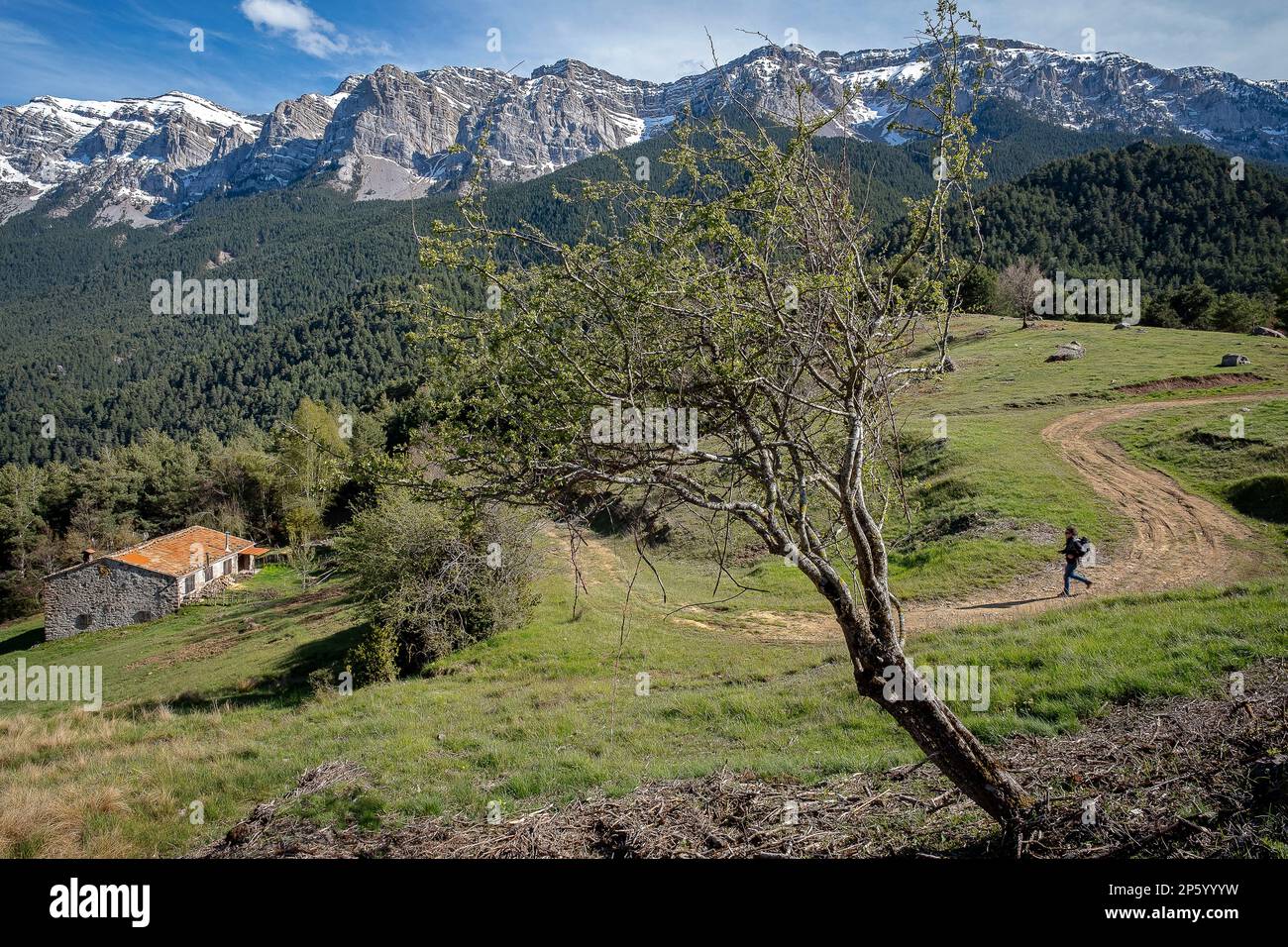 Landschaft der Serra del Cadi Bergkette, Naturpark Cadí-Moixeró, Katalonien, Spanien Stockfoto