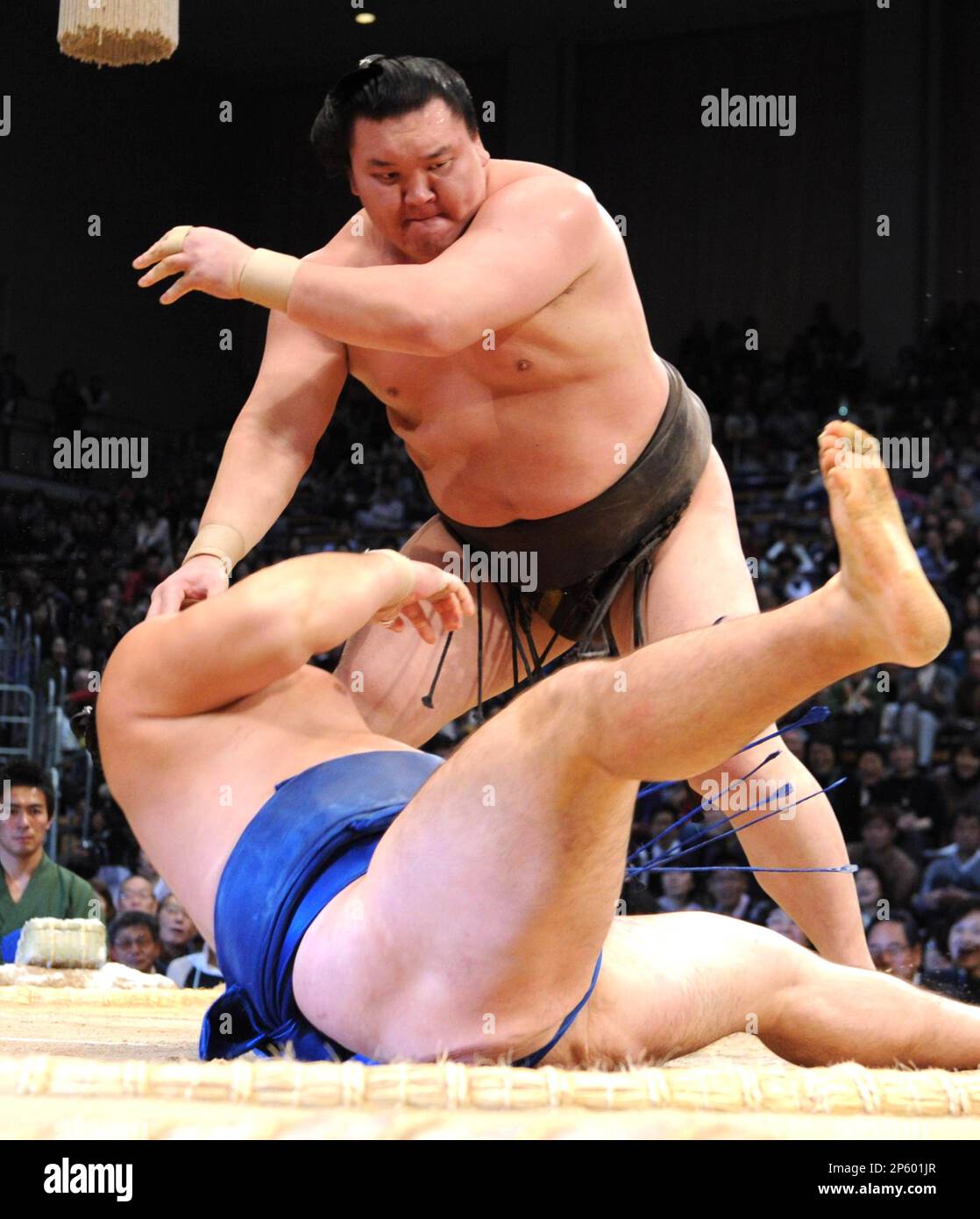 Mongolian yokozuna Hakuho (top) caps off clinching his 23rd career title by tossing down his countryman ozeki Kakuryu at Fukuoka Kokusai Center in Fukuoka Prefecture on Nov. 24, 2012. Hakuho, who improved to 13-1, had already been assured to the Emperor's Cup with a day to spare when the only wrestler with a mathematical chance of catching the Mongolian maegashira No. 6 Kyokutenho, was forced out by ozeki Kotoshogiku to drop to 10-4. ( The Yomiuri Shimbun via AP Images ) Stockfoto