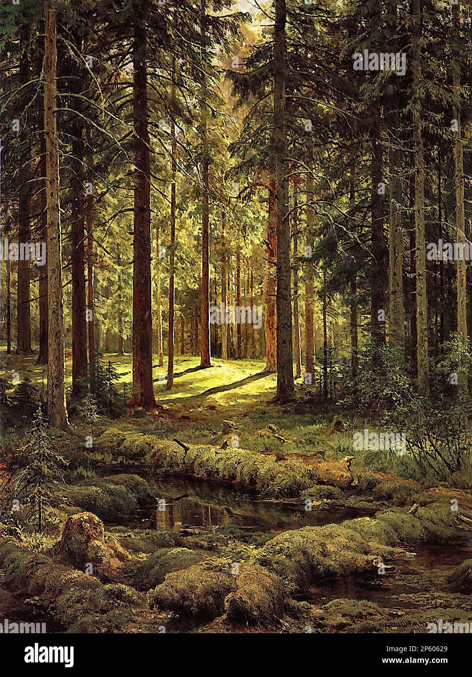 Шишкин Иван - Хвойный лес в солнечный день - Русская школа - XIX век - Shishkin Ivan - Nadelwald an einem sonnigen Tag - Russische Schule - 19. Jahrhundert Stockfoto