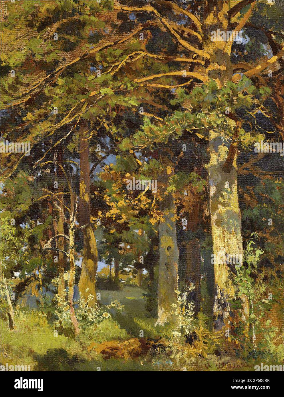 Шишкин Иван - Просека леса 1 - Русская школа - XIX век - Shishkin Ivan - Waldräumung 1 - Russische Schule - 19. Jahrhundert Stockfoto