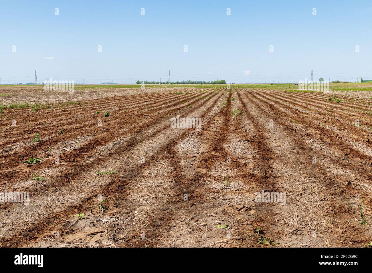 Ammoniumsulfat-Flüssigdünger, der im Frühjahr auf dem Feld ausgebracht wurde. Preiserhöhung, Mangel und Kostenkonzept für landwirtschaftliche Düngemittel. Stockfoto